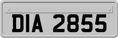 DIA2855