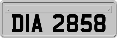 DIA2858