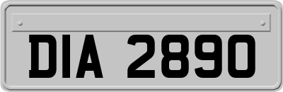 DIA2890