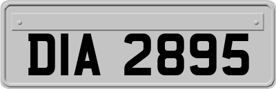 DIA2895