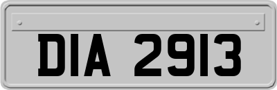 DIA2913