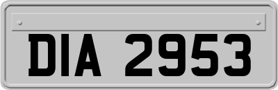 DIA2953