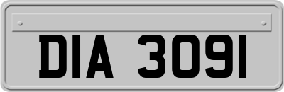 DIA3091