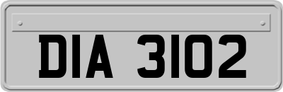 DIA3102