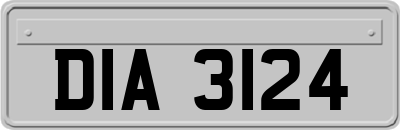 DIA3124