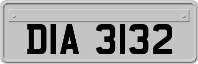 DIA3132