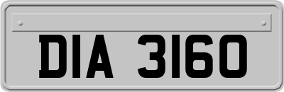 DIA3160