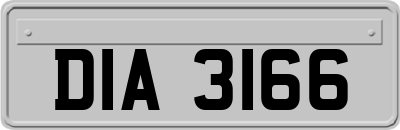 DIA3166