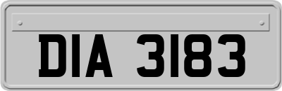 DIA3183