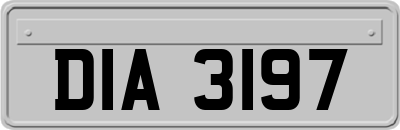 DIA3197