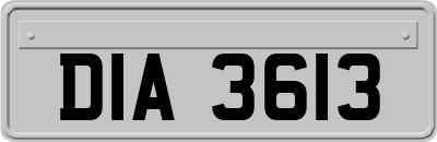 DIA3613