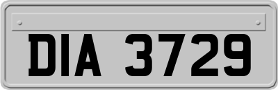 DIA3729