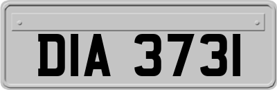 DIA3731