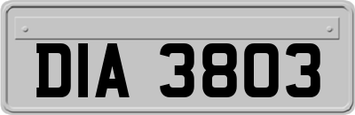 DIA3803
