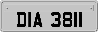 DIA3811