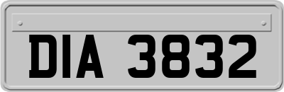 DIA3832