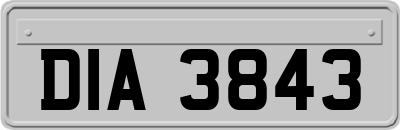 DIA3843