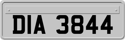 DIA3844