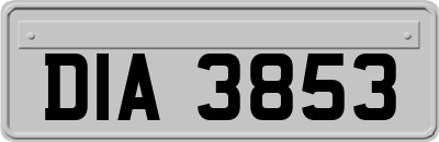 DIA3853