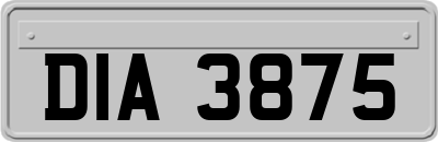 DIA3875