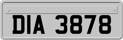 DIA3878