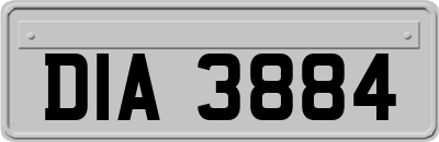DIA3884