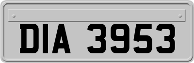 DIA3953