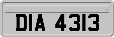 DIA4313