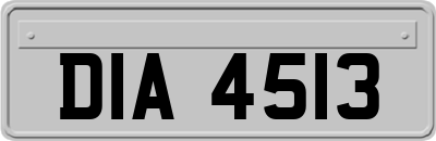 DIA4513