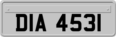 DIA4531