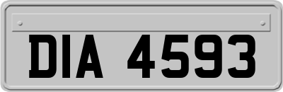 DIA4593