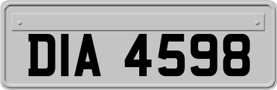 DIA4598