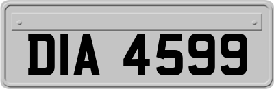 DIA4599