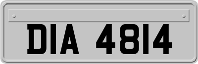 DIA4814