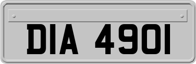 DIA4901
