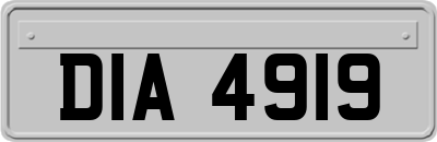 DIA4919