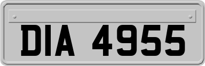 DIA4955