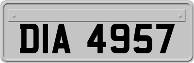 DIA4957