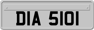 DIA5101
