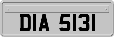 DIA5131