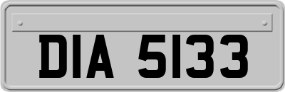 DIA5133