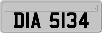 DIA5134