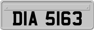 DIA5163