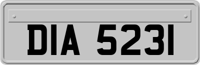 DIA5231