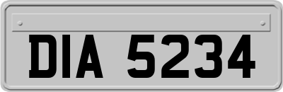 DIA5234