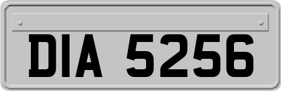DIA5256