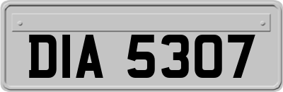 DIA5307