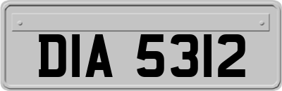 DIA5312