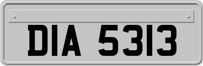 DIA5313