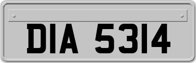 DIA5314